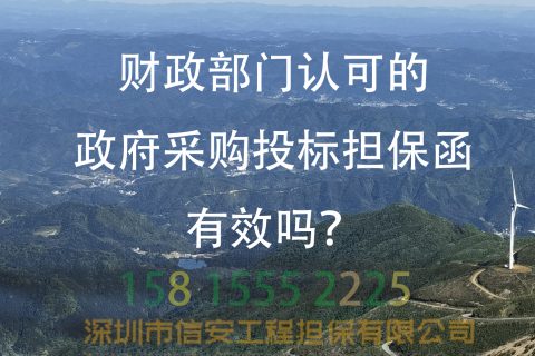 财政部门认可的政府采购投标担保函有效吗