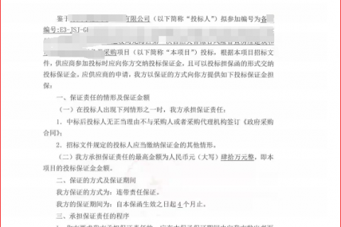 政府采购投标担保函办理案例