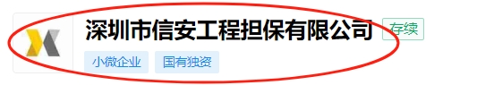 国有性质金融担保机构投标保证金保函办理说明