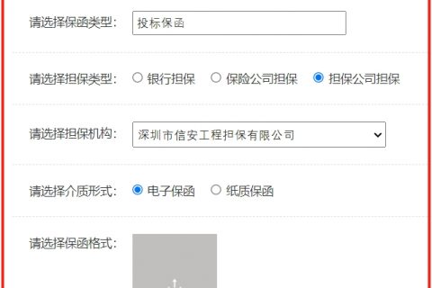 我司自主开发电子投标保函系统